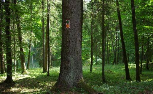 51. Mergiškių žiedas.jpg